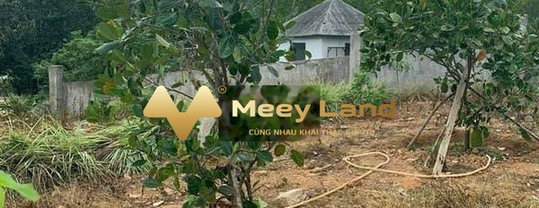Bán đất Xã Vĩnh Lương, Nha Trang dt quy đổi 1524 m2-03