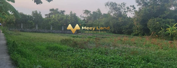 Giá siêu khủng 3,38 tỷ, bán đất diện tích chung quy 1128 m2 nằm ở Kim Động, Hưng Yên-02