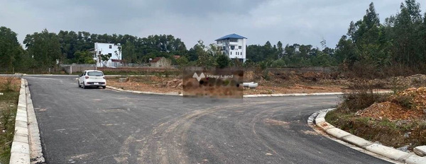 Ngay Phùng Chí Kiên, Vĩnh Phúc bán đất 2.3 tỷ có diện tích tiêu chuẩn 175m2-03