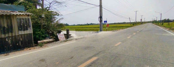 Nền thổ đường Cầu Dừa cách nhựa Huỳnh Văn Đảnh 200m -03