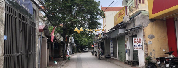 Giang Biên, Hà Nội 3,9 tỷ bán đất với diện tích tiêu chuẩn 75m2-02