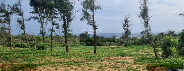 Giá mong muốn chỉ 800 triệu bán đất có diện tích quy ước 908m2 vị trí thuận lợi gần Long Hải, Bình Thuận-03
