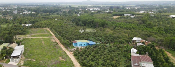 Gia đình khó khăn bán mảnh đất, 100m2 giá bán siêu khủng chỉ 350 triệu vị trí thuận lợi tọa lạc ngay Phú Ngọc, Định Quán giá mềm sinh viên-02