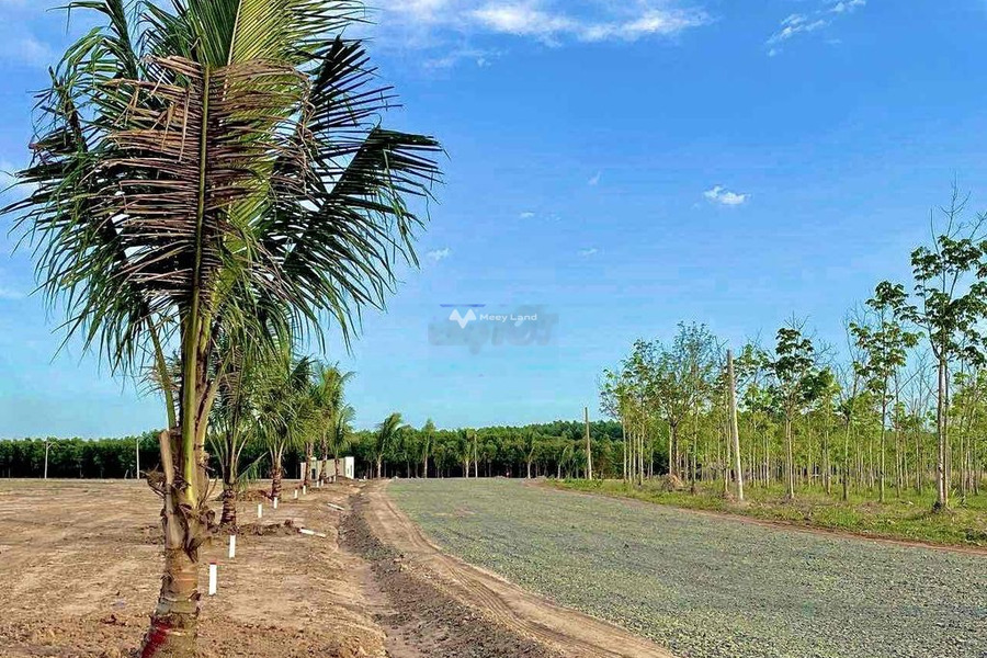 Từ 280 triệu bán đất với diện tích là 1000m2 vị trí đặt vị trí nằm trên Lộc Tấn, Lộc Ninh-01