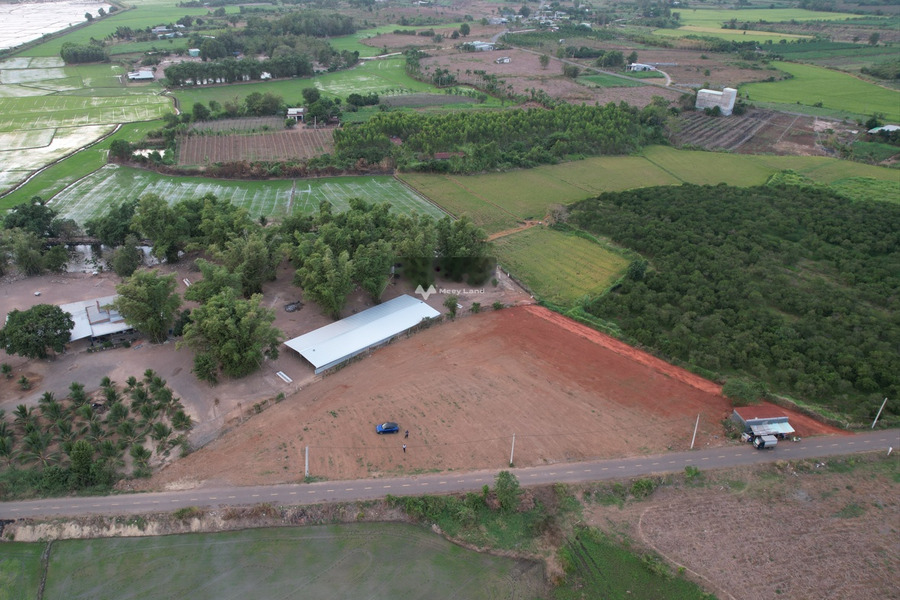Bán mảnh đất, giá đề xuất từ 730 triệu diện tích tiêu chuẩn 260m2-01