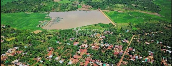 Giá giao lưu từ 500 triệu bán đất có diện tích chung 221m2 vị trí thuận lợi ở Ea Drông, Đắk Lắk-03
