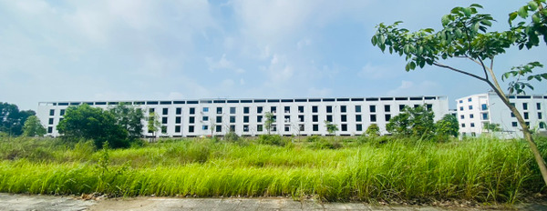 Bán ô đất view quốc lộ 2B, Park Hill, Định Trung, Vĩnh Yên, diện tích 133 m2-02