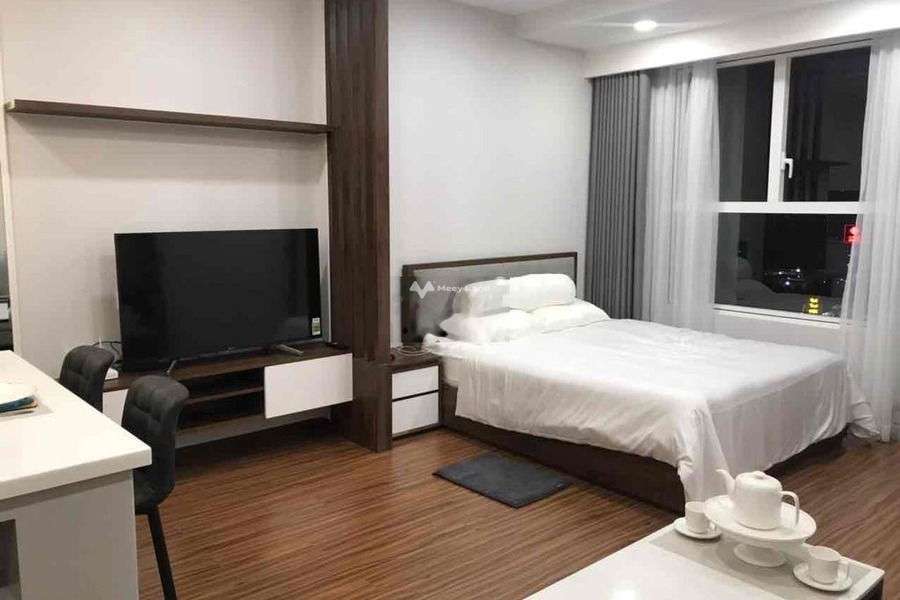 Cho thuê căn hộ vị trí đặt ở tại Nguyễn Hữu Thọ, Quận 7, thuê ngay với giá hợp lý từ 10 triệu/tháng có diện tích khoảng 39m2-01