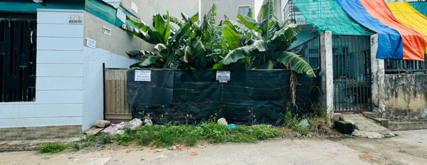 Bán đất hẻm xe tải chạy vi vu - đường Số 2 - P. Tăng Nhơn Phú B - khu dân cư sầm uất -03