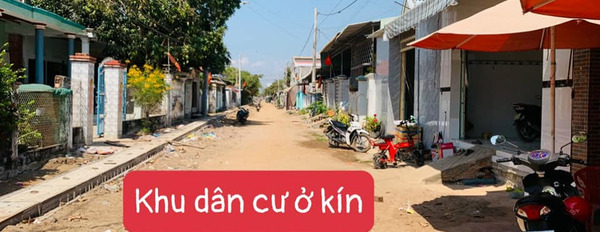 Mua bán đất huyện Xuyên Mộc tỉnh Bà Rịa Vũng Tàu-02