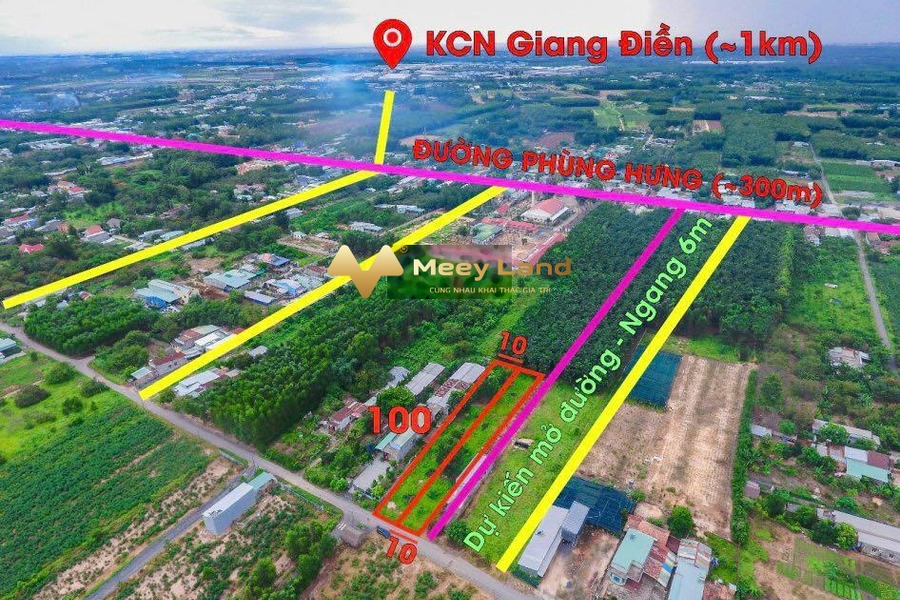 Bán đất 8 tỷ Xã An Viễn, Huyện Trảng Bom diện tích thực là 2000 m2-01