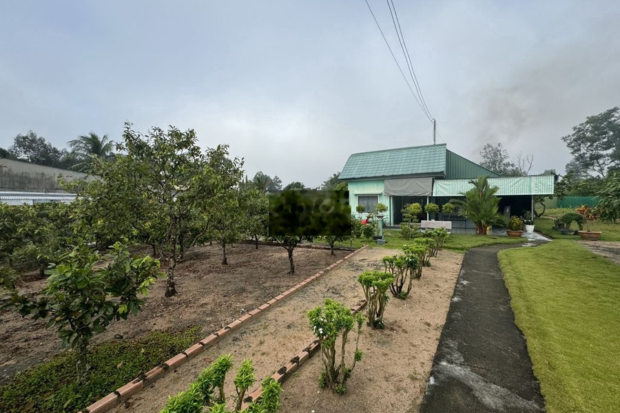 Cần bán gấp Nhà vườn hơn 1.000 m2 CHÍNH CHỦ gần UBND xã Phú Điền -01