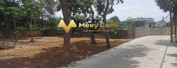Huyện Sóc Sơn, Hà Nội bán đất giá 546 triệu diện tích 80m2-03