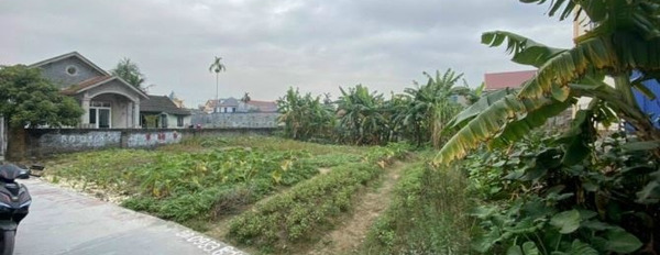 Xã Hồng Phong, Huyện An Dương bán đất giá bán cơ bản 8.51 tỷ dt cụ thể 740m2-03
