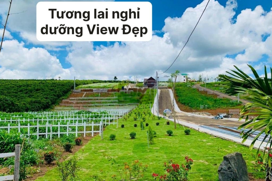 Từ 235 triệu bán đất với diện tích khoảng 500m2 vị trí đặt vị trí ở Bù Đốp, Bình Phước-01