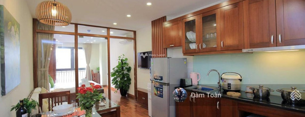Cho thuê căn hộ tại diện tích 45m2 tại Đào Tấn, Ba Đình-02