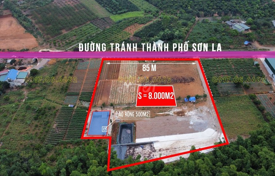Khoảng 8 tỷ bán đất diện tích thực khoảng 8000m2 tọa lạc tại Mai Sơn, Sơn La-01