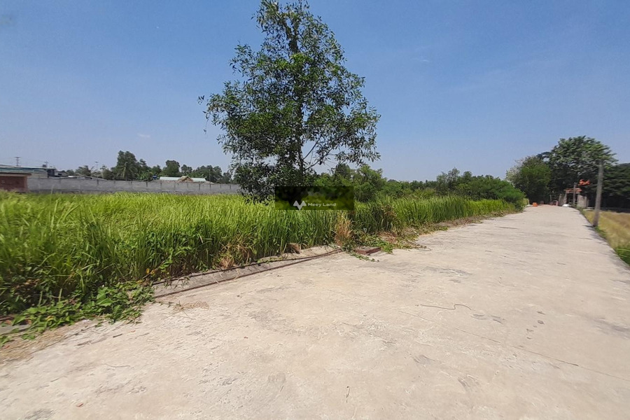 Bán đất giá 1 tỷ, diện tích 100m2 tại Đt 835C, Long Sơn-01