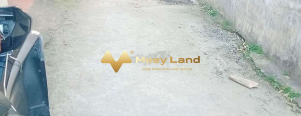 Giá bán thương mại chỉ 4.3 tỷ bán đất có diện tích rộng 100m2 mặt tiền nằm tại Trâu Quỳ, Hà Nội-02