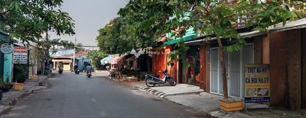 Bán nhà tại Nguyễn Thị Huê, Hóc Môn, diện tích 856m2-02