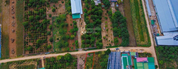 Gia đình khó khăn bán mảnh đất, 500m2 giá bán liền 1.65 tỷ ngay Đông Thanh, Lâm Đồng, hướng Đông - Bắc thuận tiện di chuyển-03