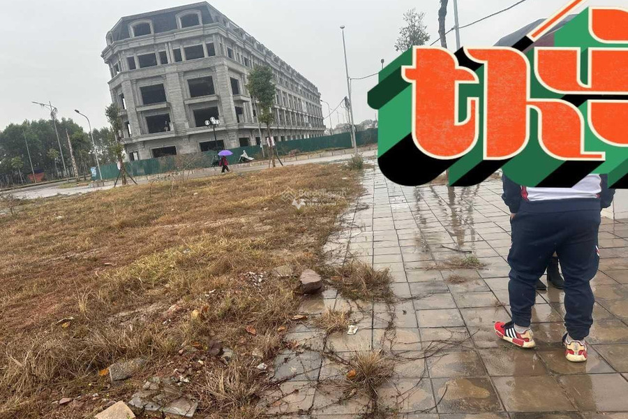 Bán mảnh đất diện tích 75m2 tại Tân Tiến, Bắc Giang-01