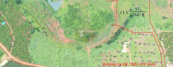 Giá 900 triệu bán đất tổng diện tích 17848m2 vị trí đẹp tọa lạc trên Đăk Glong, Đắk Nông-02