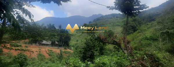 Từ 5.3 tỷ bán đất có dt tổng 4700 m2 vị trí đẹp tọa lạc ngay trên Xã Quang Tiến, Hòa Bình-03