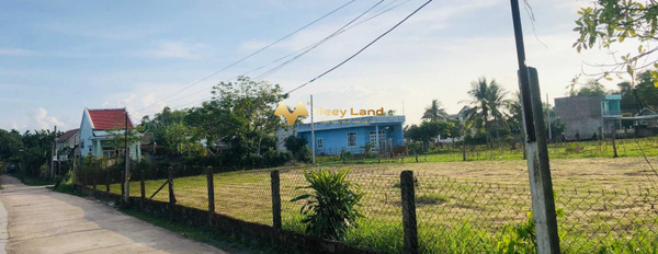 Bán đất vị trí mặt tiền ở xã Điện Hòa, tỉnh Quảng Nam-03