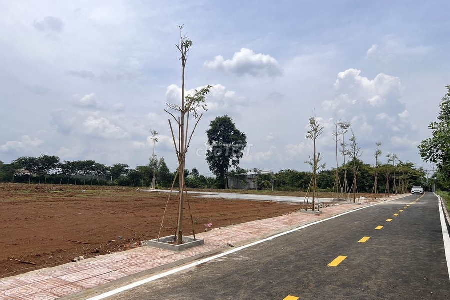 Giá đề xuất từ 850 triệu bán đất Diện tích nền 150m2 nằm tại Thống Nhất, Đồng Nai-01