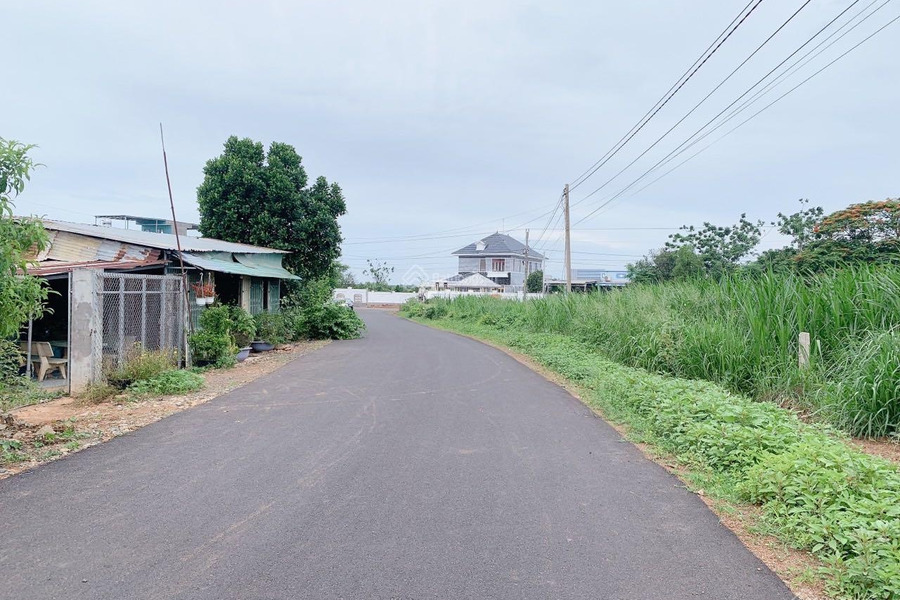 Bán đất tại Long Tân, Bà Rịa Vũng Tàu, diện tích 500m2-01