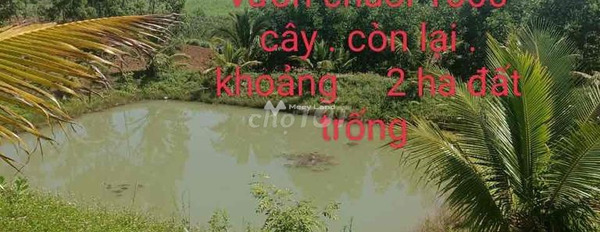 Nằm tại Huyện KBang, Gia Lai bán đất 2 tỷ diện tích thực 80456m2-03