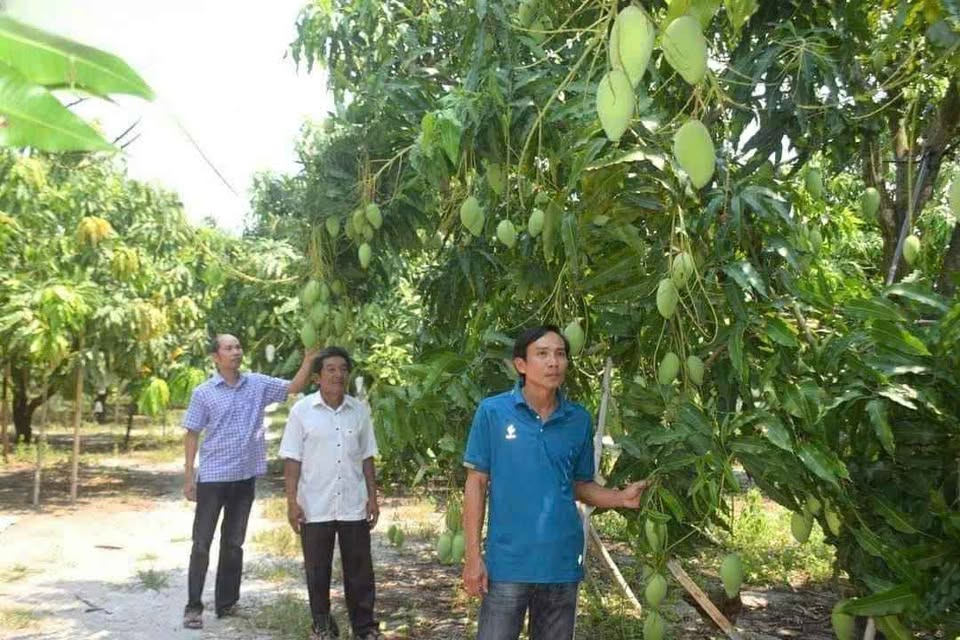 Bán nhà riêng huyện Củ Chi thành phố Hồ Chí Minh giá 340.0 triệu-0