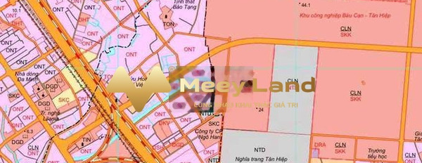 Bán đất tại Long Phước, Đồng Nai, 100m2-02