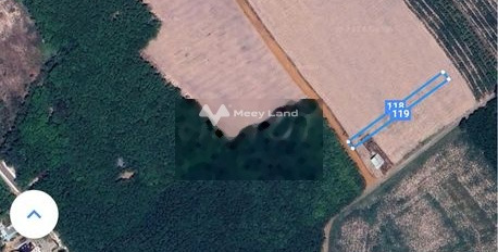 Vị trí đẹp ở Ấp 1, Bình Phước bán đất, giá bán chính chủ chỉ 400 triệu, hướng Tây Nam diện tích sàn là 1000m2-02