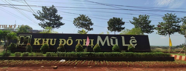 Lô đất 140m2 sát trường học, sát công viên, 140m2 thổ cư giá 1 tỷ Felicia City Bình Phước-02