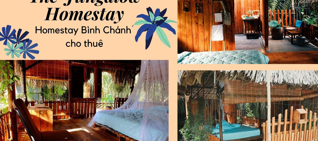 The Jungalow Homestay Bình Chánh theo phong cách cổ xưa