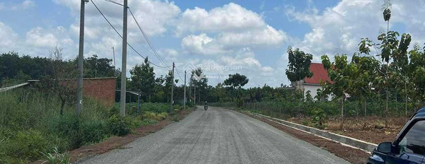 Vị trí mặt tiền ngay trên Lộc Phú, Bình Phước bán đất giá bán thương mại 260 triệu có diện tích sàn 225m2-03