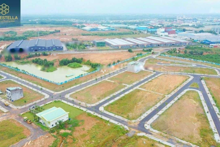 Bán đất diện tích 100m2 tại Tân Biên, Đồng Nai-01