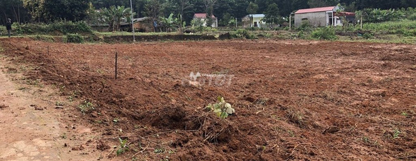 Nông Cống, Thanh Hóa bán đất giá bán rẻ bất ngờ chỉ 0.39 triệu diện tích thực 115m2-03