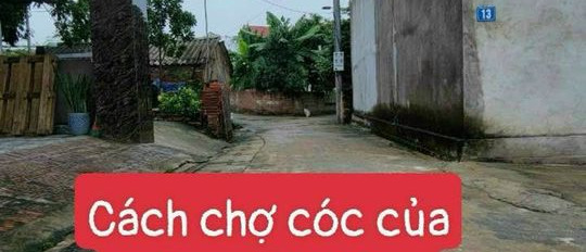 Cần bán đất huyện Sóc Sơn Thành phố Hà Nội giá 3 triệu/m2-03