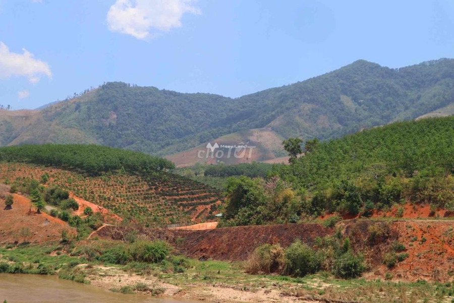 Giá đặc biệt 3.5 tỷ bán đất diện tích tổng 6m2 vị trí nằm ngay Mường Khương, Lào Cai-01
