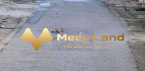 Bán nhà vị trí mặt tiền tọa lạc ngay ở Phường Hội Hợp, Tỉnh Vĩnh Phúc giá cực sốc từ 1.5 tỷ có diện tích 100 m2-03