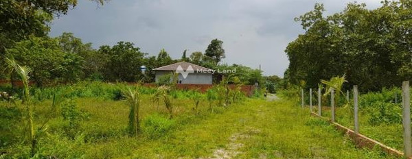Vị trí đẹp tại Xuân Lộc, Đồng Nai bán trang trại bán ngay với giá hữu nghị từ 850 triệu có diện tích sàn 1000m2-03