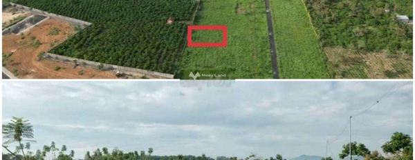 Vị trí đẹp Lê Thị Riêng, Lộc Châu bán đất giá bán tốt bất ngờ chỉ 900 triệu diện tích rộng lớn 450m2-02