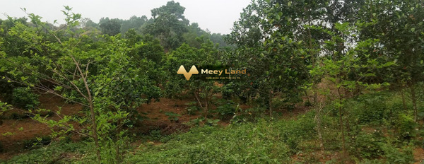 Diện tích chuẩn 2200 m2 Green Valley Phước Bình bán đất giá bán siêu rẻ từ 3.3 tỷ, hướng Tây-Nam-02