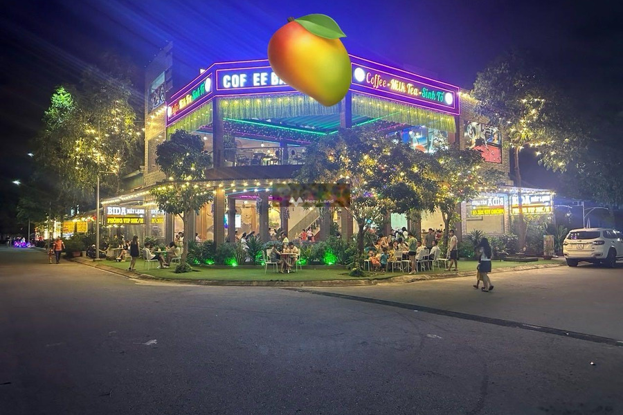 Hướng Tây - Bắc, bán nhà diện tích khoảng 247m2 vị trí nằm trên Nguyễn Du, Bình Hòa giá bán cực kì tốt chỉ 14.8 tỷ-01