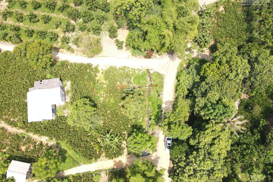Diện tích chuẩn 2200 m2 Green Valley Phước Bình bán đất giá bán siêu rẻ từ 3.3 tỷ, hướng Tây-Nam-01