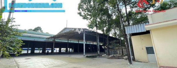 Vị trí đặt ở tại Thiện Tân, Đồng Nai cho thuê kho bãi 3000m2 thuê ngay với giá êm chỉ 110 triệu/tháng pháp lý rõ ràng-03