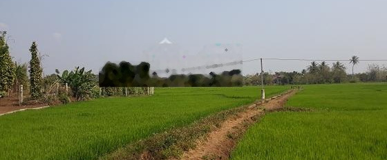 Bán đất Ea Pok, Cư Mgar, Dak Lak Buôn Ma Thuột 3000 m2 - giá 2,5 tỷ -03